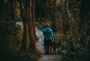 Employee and Payroll Expenses For Dog Walking Business