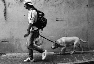 Employer's Liability Insurance for Dog Walking Business