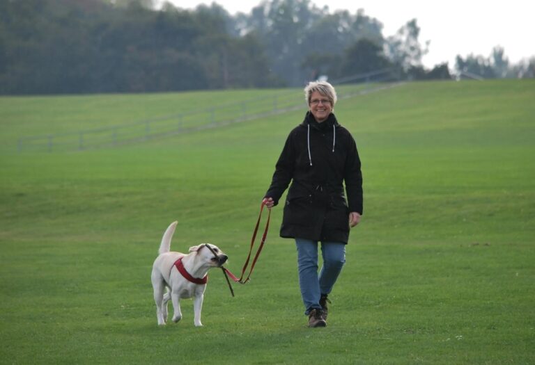 How to Start a Dog Walking Business in the UK